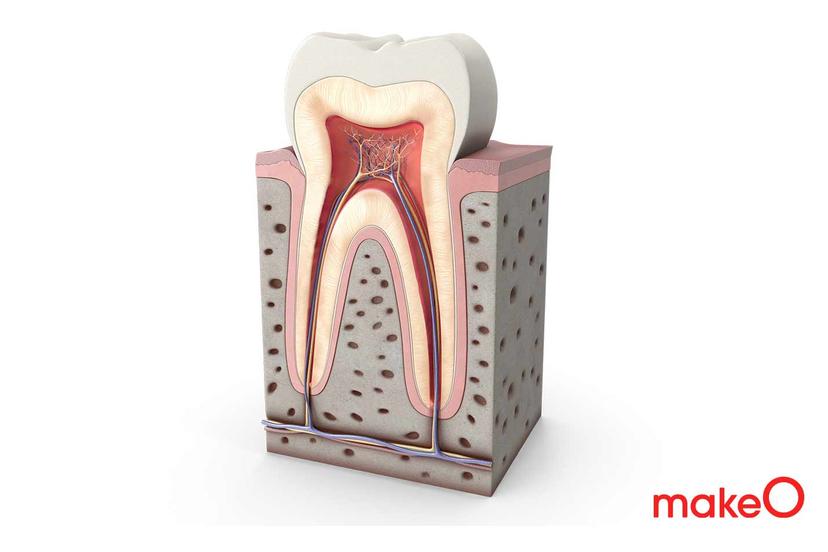 What is tooth enamel and how to preserve it? 